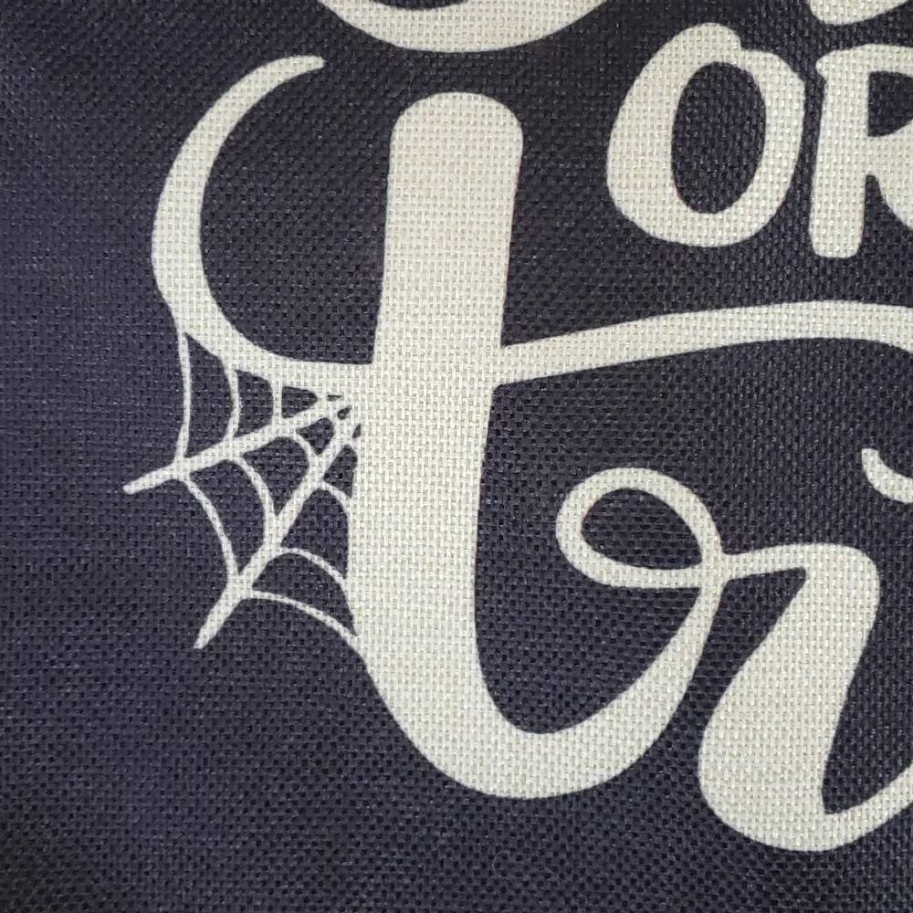 Halloween Pillow Cover • Black  & Ivory Spider Web Trick or Treat • 18 X 18